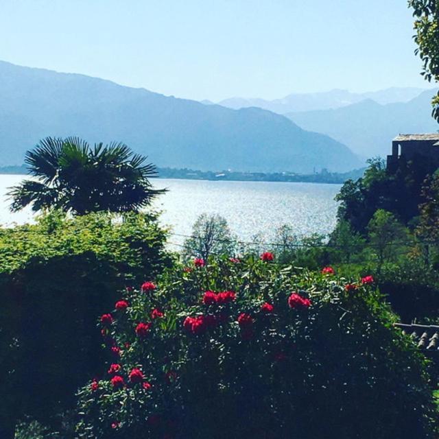 Il Motto Di Tommy Bed & Breakfast Castelveccana Dış mekan fotoğraf